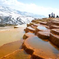 Badab Soort  